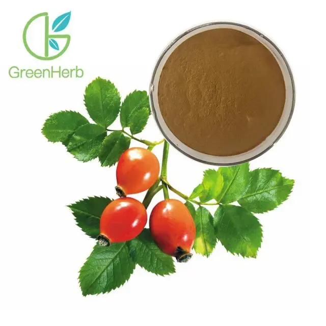 Rosehip Fruit Extract2.webp